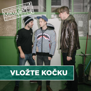 Vložte kočku